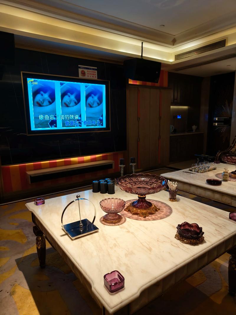 临沧商务ktv攻略-云县ktv预订